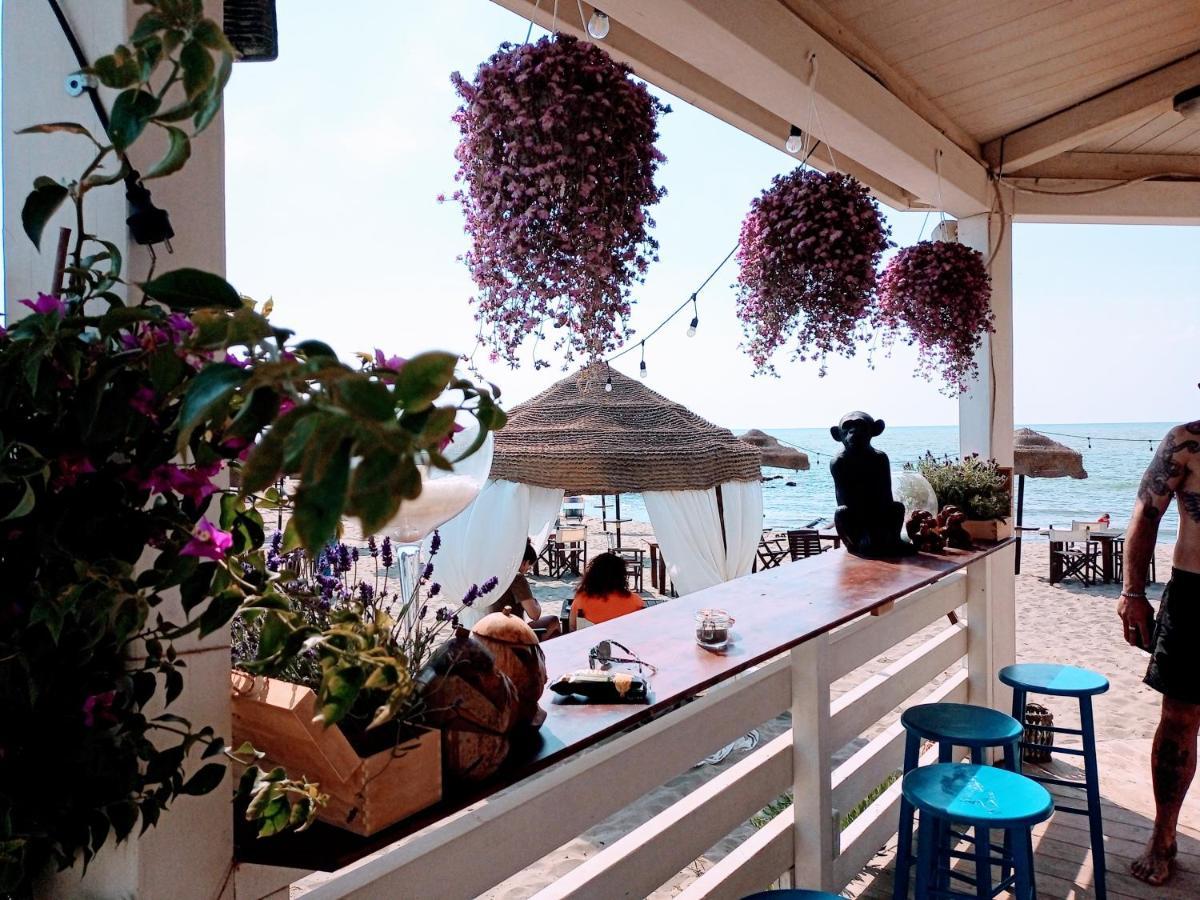 B&B Purple Italy Ф'юмічіно Екстер'єр фото